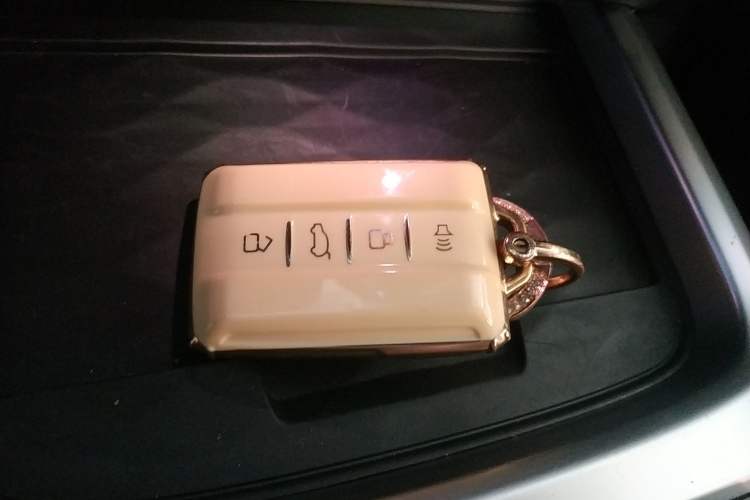 Used Tank 300 2021 Off-Road Edition 2.0T Conqueror
