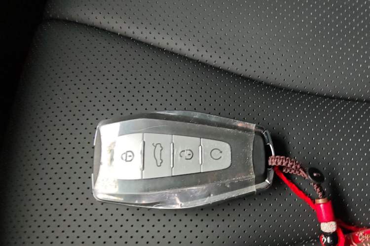 Used Geely Auto Monjaro L 2024 2.0TD DCT EVO Two-Wheel Drive Long-Range Version