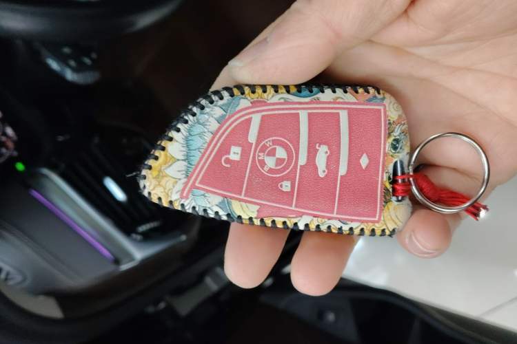 Used BMW 5 Series 2020 530Li Luxury Edition Premium Package