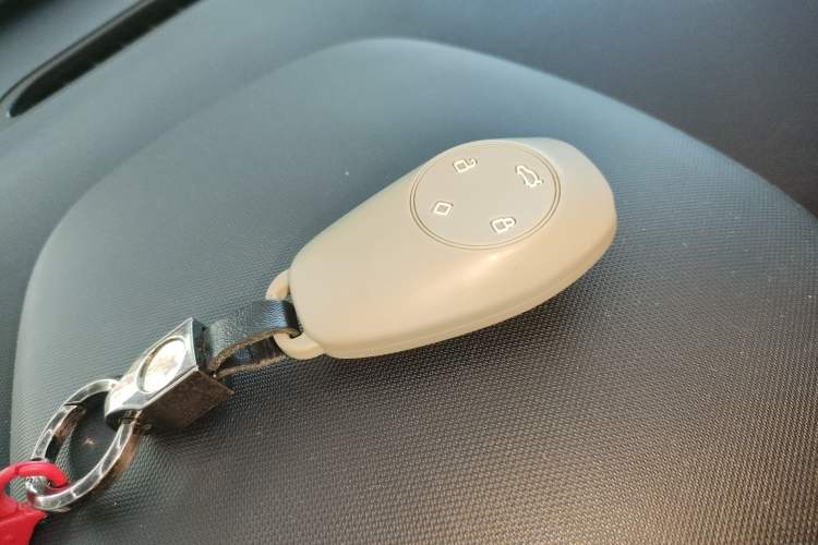 Used Leapmotor T03 2021 400 Luxury Edition
