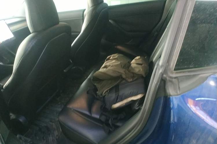 Used Tesla Model 3 2020 Standard Range Rear-Wheel Drive Upgraded Version
