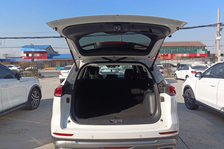 Used Haval H6 2023 National Trend Edition 1.5T Automatic Champion Version
