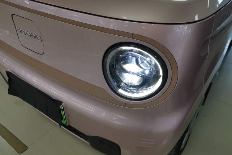 Used  Panda 2024 Panda Mini 200km Endurance Bear