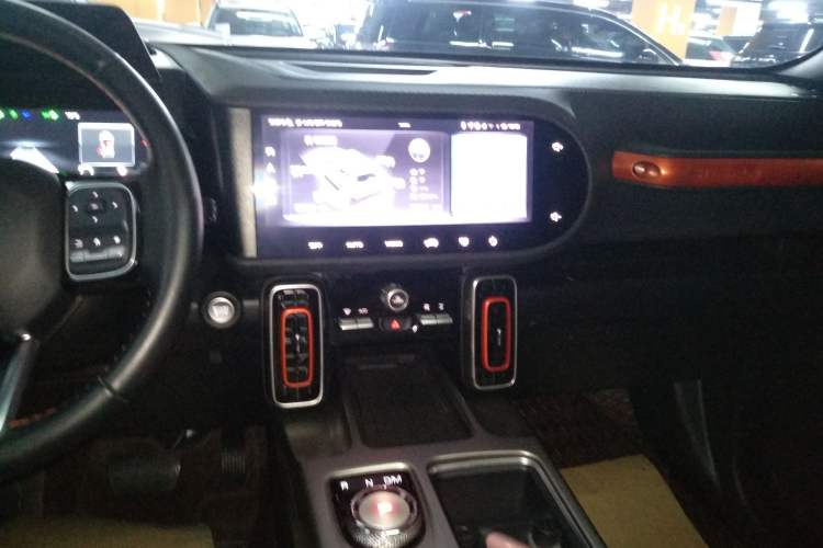 Used Haval DARGO 2024 2.0T DCT Chinese Rural Dog Edition
