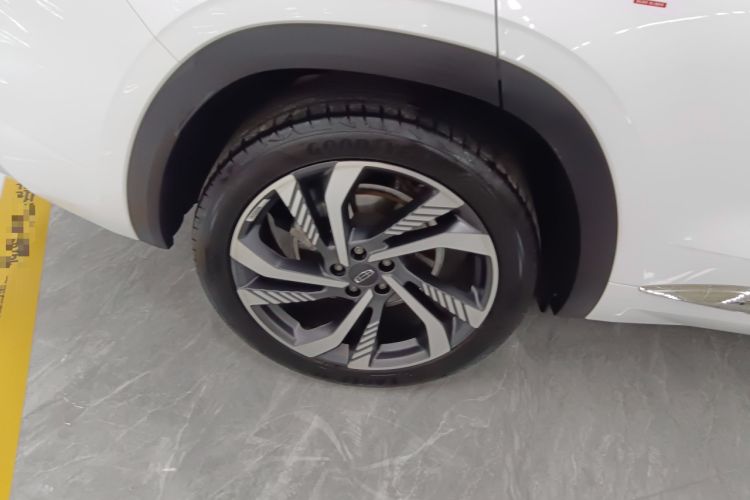 Used Geely Auto Monjaro L 2024 2.0TD High-Power Automatic Two-Wheel Drive Skyline Edition
