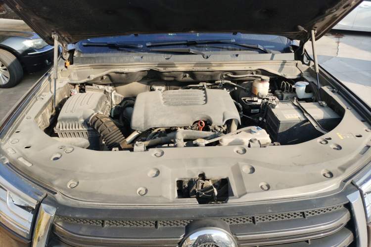 Used Great Wall Poer 2019 2.0T Automatic Gasoline Two-Wheel Drive Comfort Edition GW4C20B