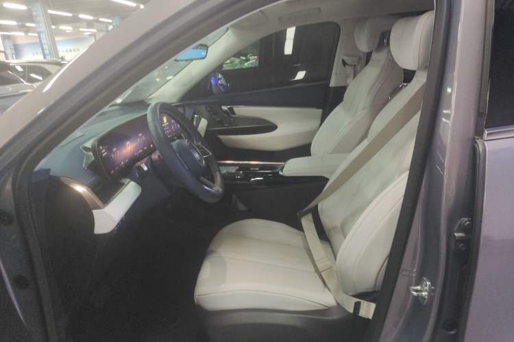 Used Buick E5 2023 Avia Four-Wheel Drive Version