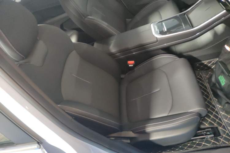 Used Livan Livan 7 2024 605 km Glory Edition