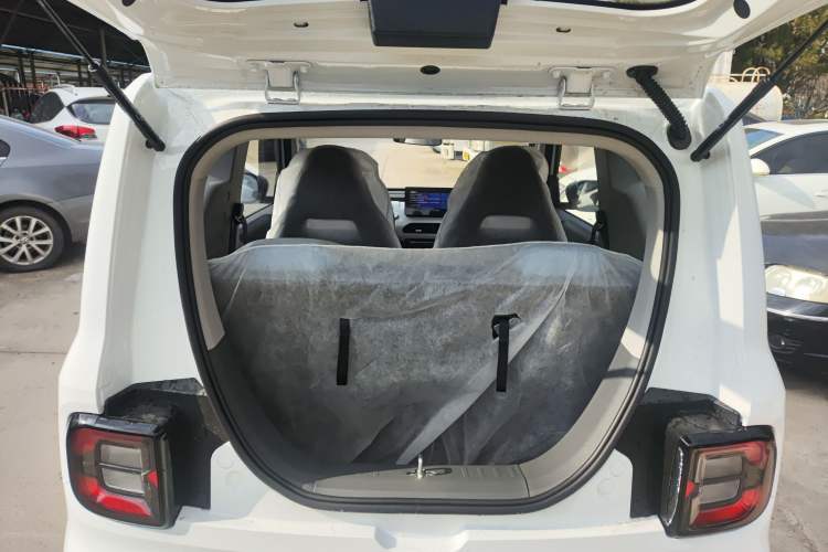 Used  Panda 2024 Panda Mini 200km Endurance Bear
