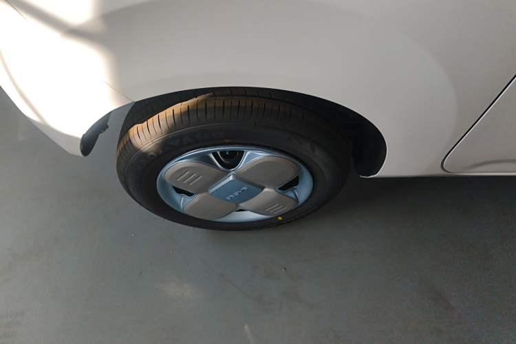 Used  Panda 2024 Panda Mini 200km Endurance Bear
