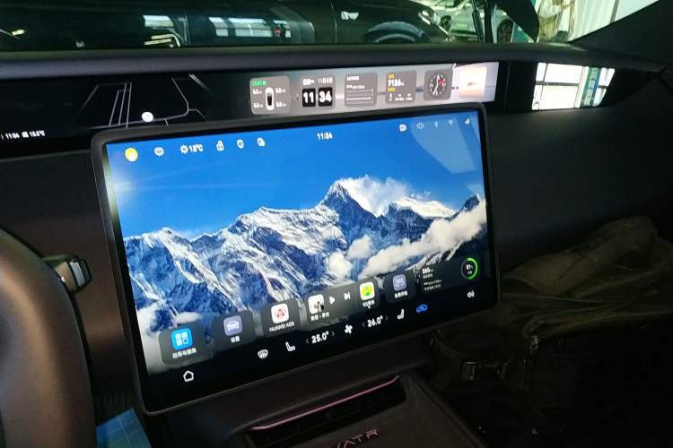 Used  06 2025 Max Extended-Range Edition
