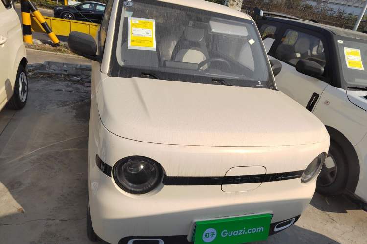 Used  Panda 2025 210 km – Yuanqi Bear
