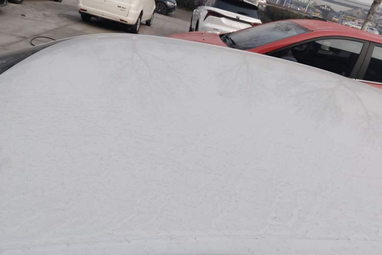 Used Skoda Octavia 2019 1.5L Manual SmartDrive Comfort Edition China V Standard
