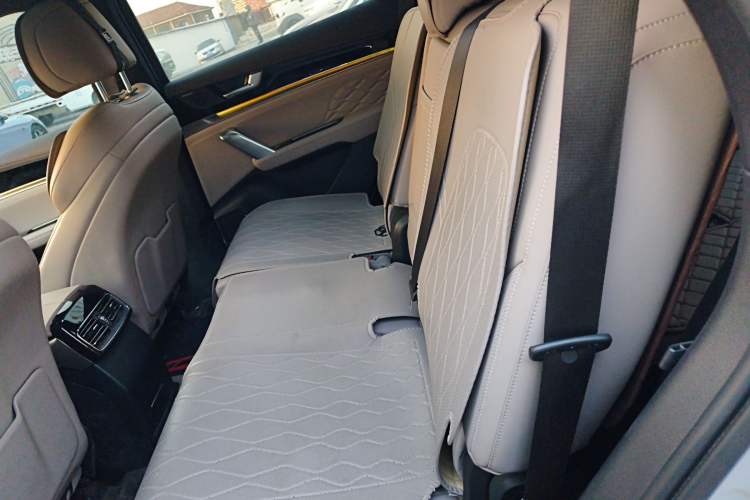 Used BYD Tang New Energy 2025 DM-i 115KM Prestige Model