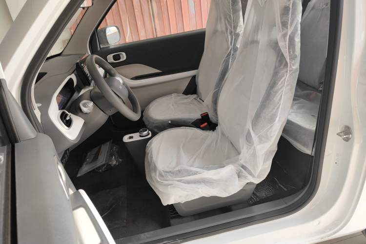 Used  Panda 2025 210 km – Yuanqi Bear