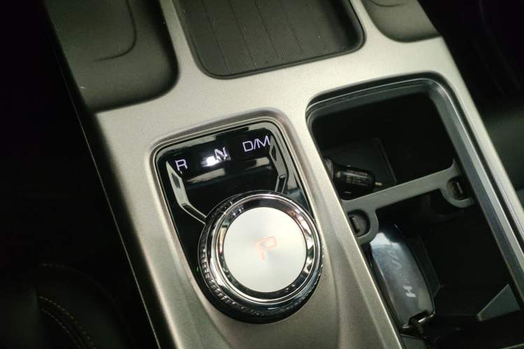 Used Haval DARGO 2024 2.0T DCT Chinese Rural Dog Edition