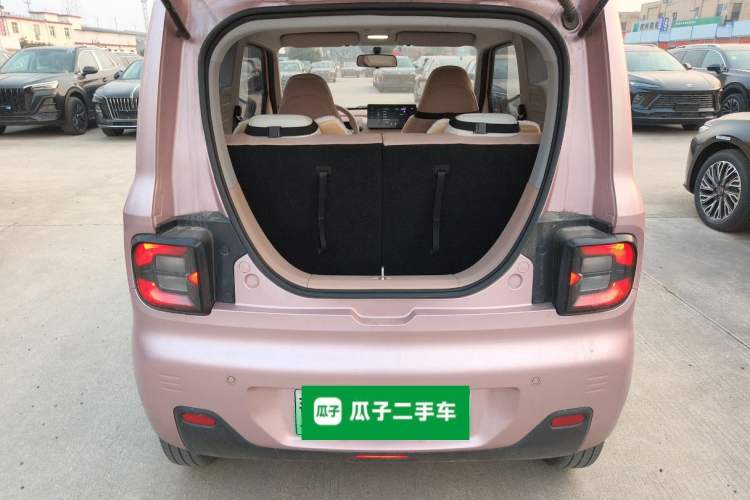 Used  Panda 2024 Panda Mini 200km Endurance Bear