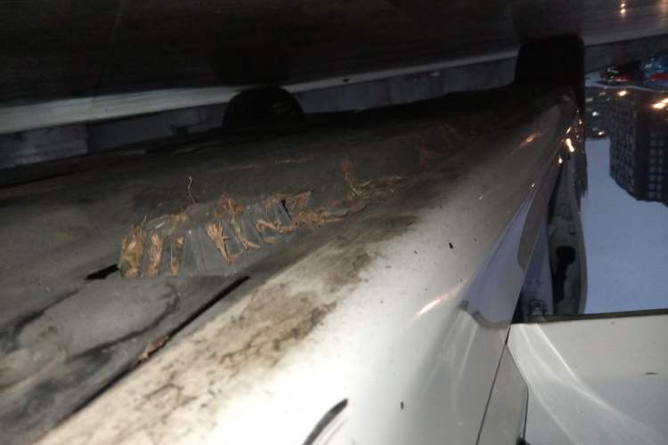 Used BMW 5 Series 2020 525i M Sport Package
