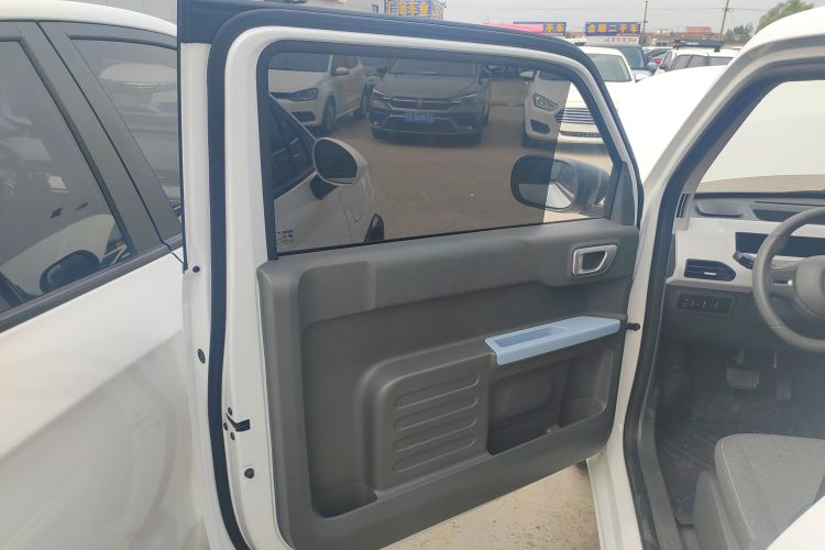 Used  Panda 2024 Panda Mini 200km Endurance Bear
