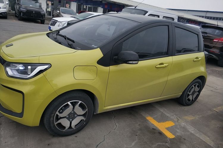 Used SOL E10X 2022 Flower Fairy Style Baby's Breath
