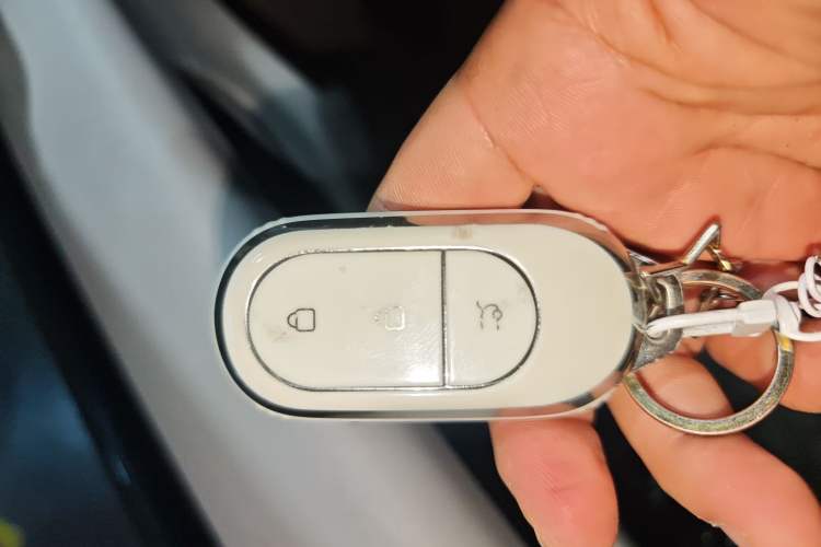 Used Leapmotor C11 2023 Pure Electric 500 Comfort Edition