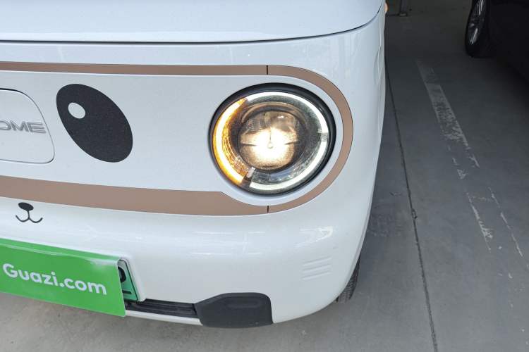 Used  Panda 2024 Panda Mini 200km Endurance Bear