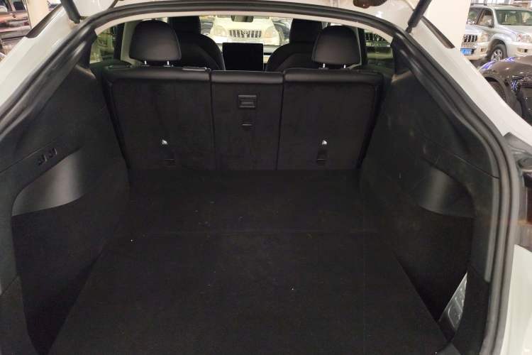 Used Tesla Model Y 2021 Long-Range All-Wheel-Drive Version