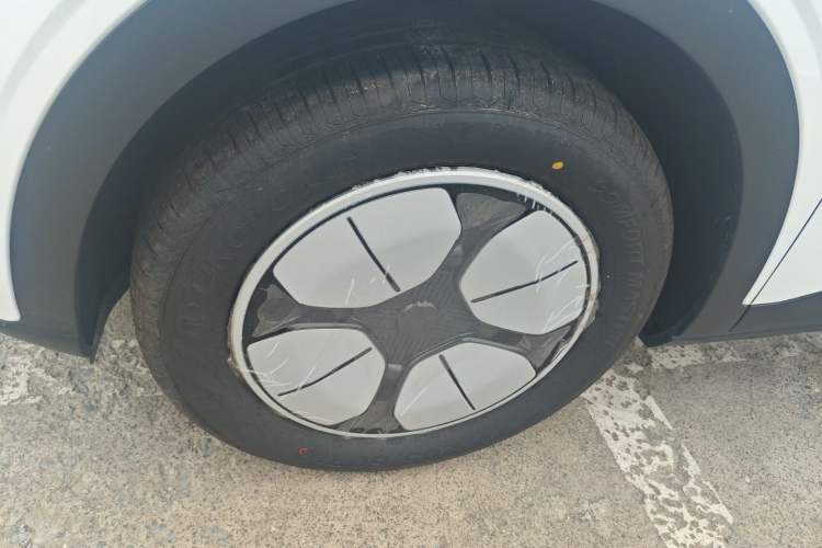 Used  Geome 2025 310km Youth Edition
