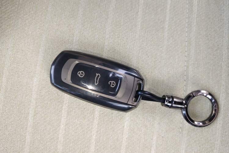 Used  Panda 2024 Panda Mini 200km Endurance Bear
