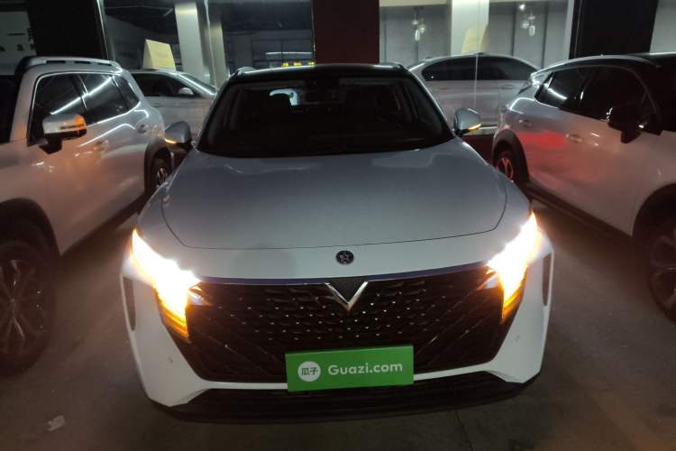 Used Venucia V 2021 260T Tianwang Edition