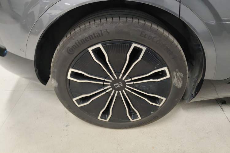 Used  07 2024 Max Extended-Range Edition
