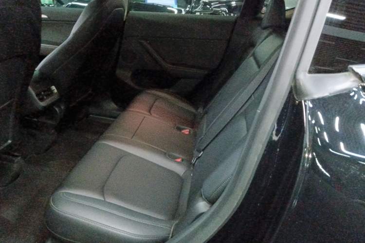 Used Tesla Model Y 2021 Standard Range Rear-Wheel Drive Version
