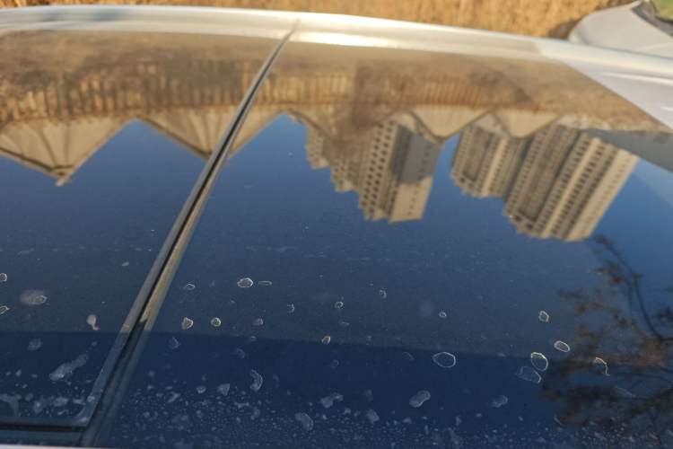 Used Mercedes-Benz GLC 2022 GLC 300 L 4MATIC Dynamic Model