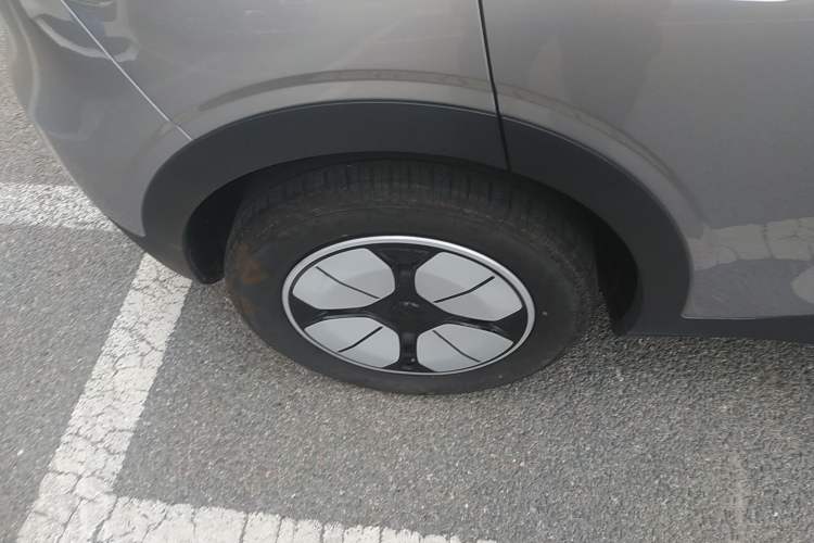 Used  Geome 2025 310km Youth Edition
