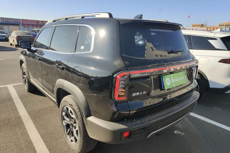 Used Haval DARGO 2024 2.0T DCT Chinese Rural Dog Edition
