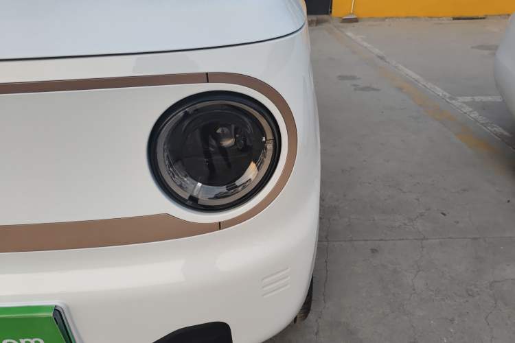 Used  Panda 2024 Panda Mini 200km Endurance Bear