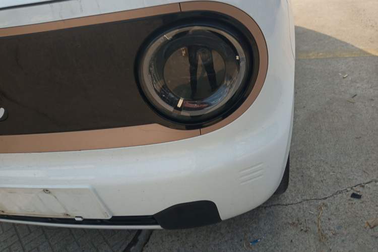 Used  Panda 2023 Panda Mini 200km Endurance Bear