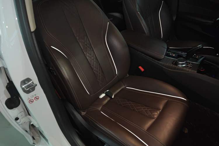 Used BMW 5 Series New Energy 2020 530Le Luxury Package
