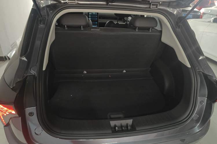 Used NETA V 2022 Pro Long-Range Smart Edition
