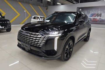 Used Haval H6 2024 1.5T Two-Wheel Drive Max