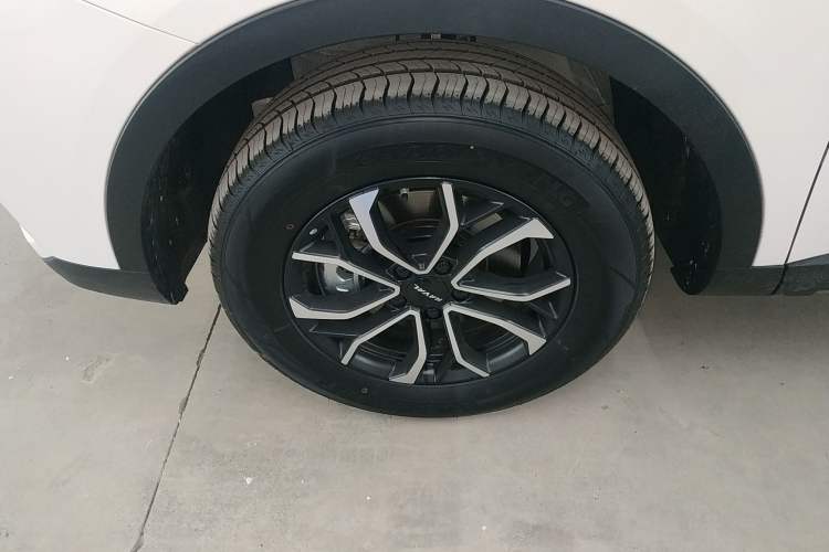 Used Haval H6 2023 National Trend Edition 1.5T Automatic Urban Version