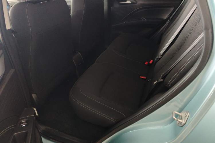 Used NETA V 2022 Standard Range Industry Custom Edition
