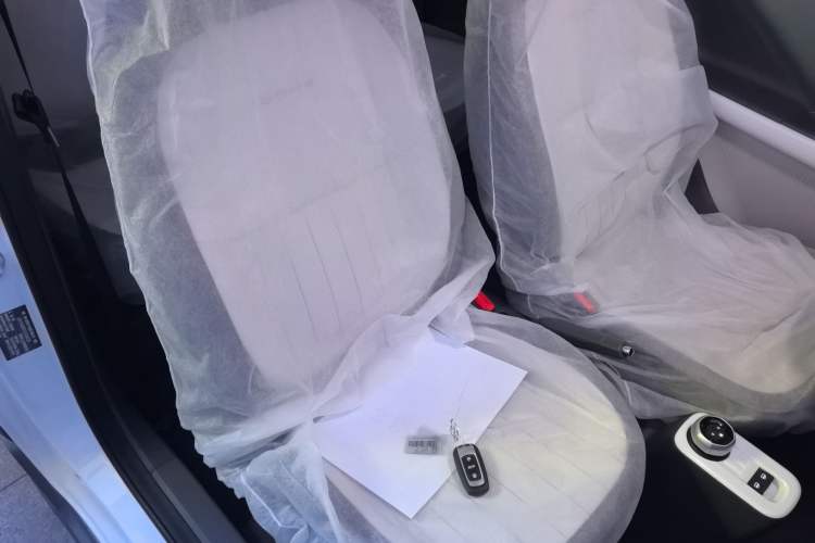 Used  Panda 2025 210km Panda Kart
