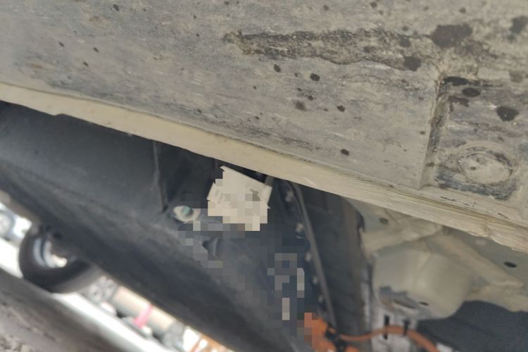 Used  Panda 2024 200km Panda Rider