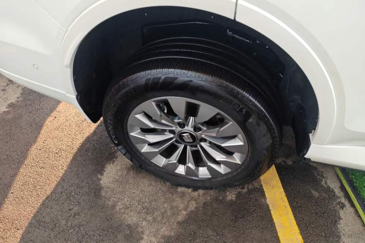 Used Tank 500 New Energy 2023 Hi4-T
