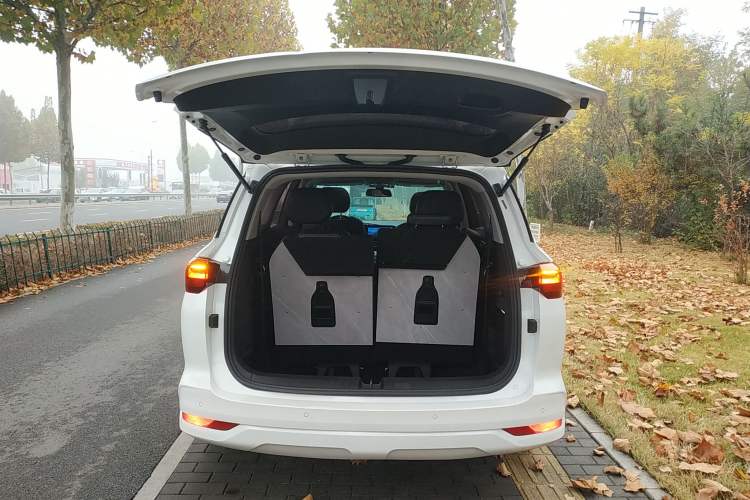 Used Wuling Victory 2020 1.5T CVT Flagship Edition
