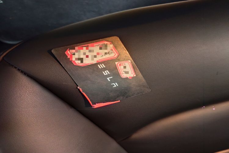 Used Tesla Model 3 2021 Performance High-Performance All-Wheel-Drive Version
