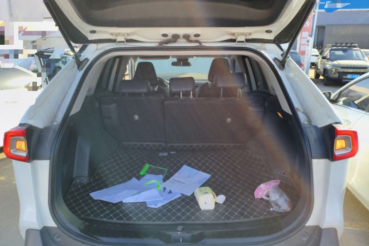 Used Toyota Wildlander 2022 2.0L CVT Four-Wheel Drive Luxury Edition
