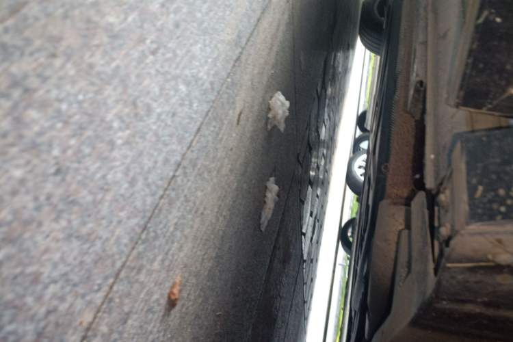 Used Denza D9 2022 DM-i 970 Four-Wheel Drive Prestige Model
