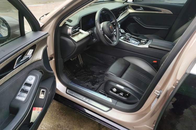 Used Hongqi H9 2020 3.0T Smart Connect Flagship Four-Seat Version